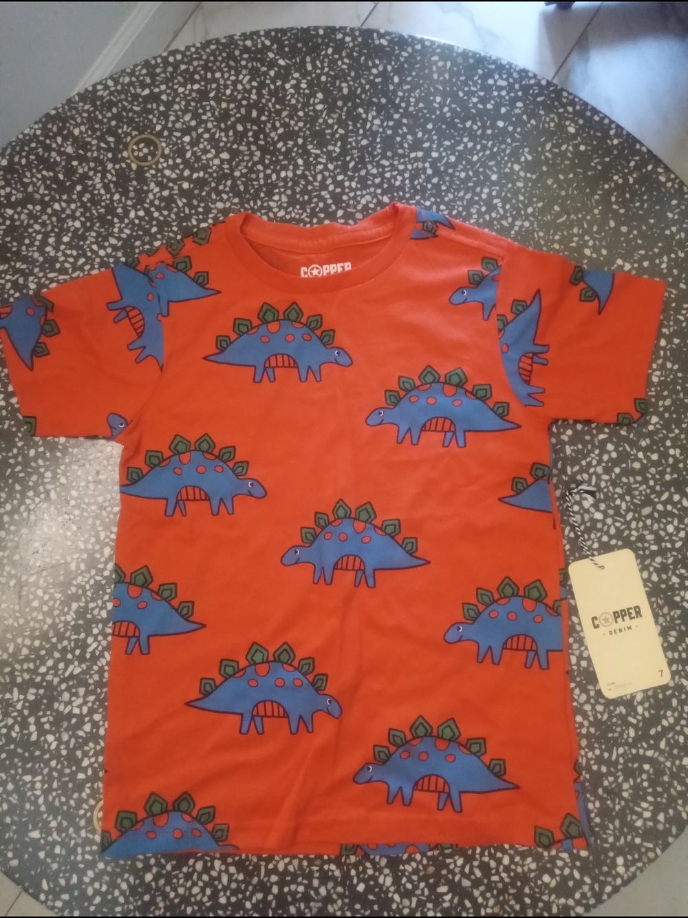 Copper Kids' Short Sleeve Dino Print Tee in Orange